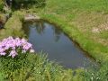 DSC 0300